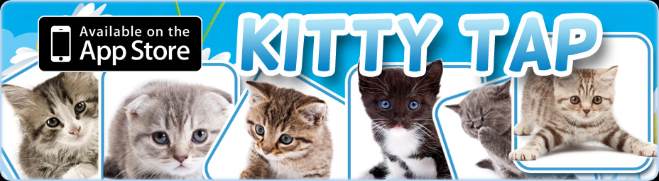 Kitty Tap